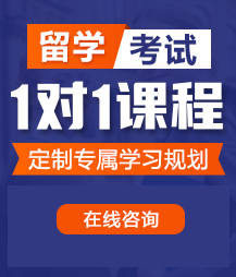 轮奸日死你骚货啊用力夹紧了留学考试一对一精品课